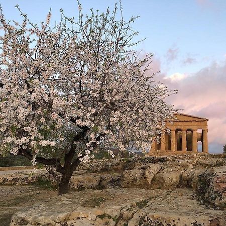 Bed and Breakfast Alfa Quadro Agrigento Exterior foto
